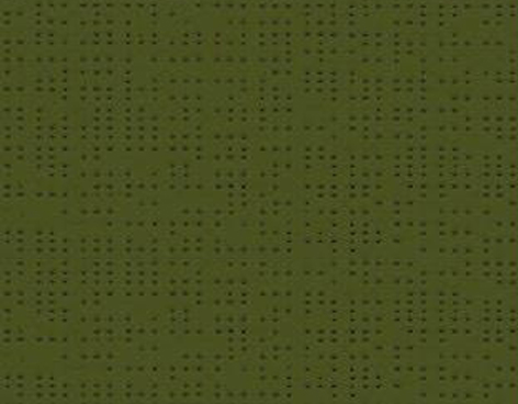 38149 VERT COLÉOPTÈRE