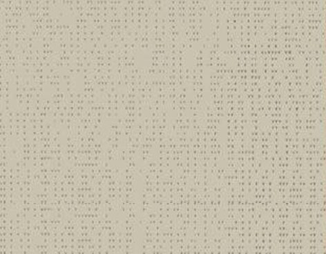 39905 COULEUR ARGILE