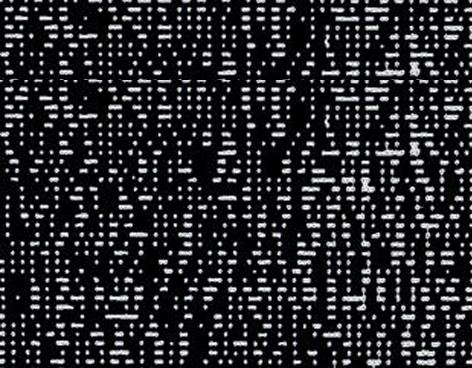 39915 COULEUR BLANC NOIR