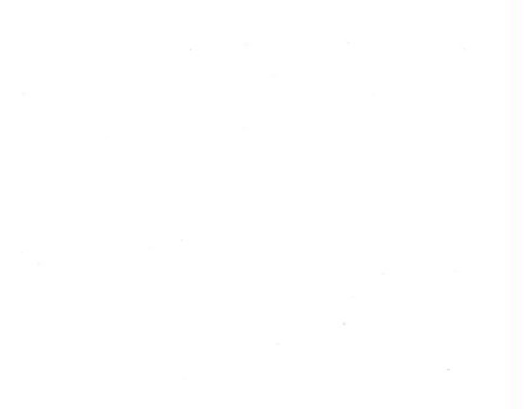 *55005 BLANC OPTIQUE